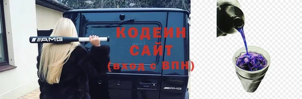 бошки Кодинск