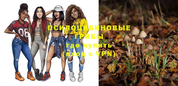 экстази Козельск